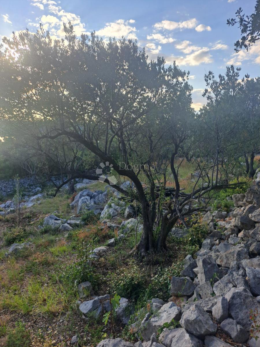 Kmetijsko zemljišče Punat, 810m2