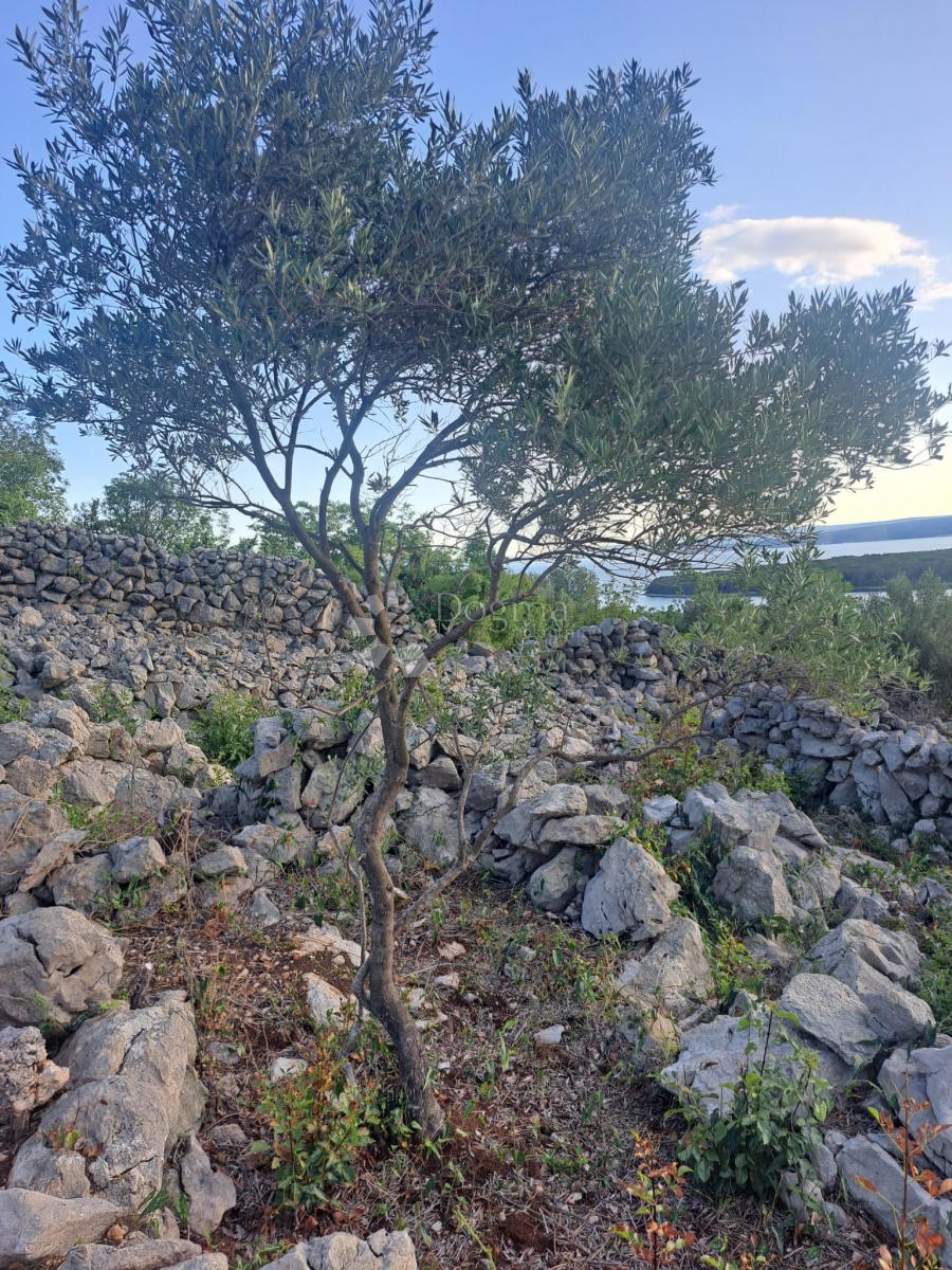 Kmetijsko zemljišče Punat, 810m2