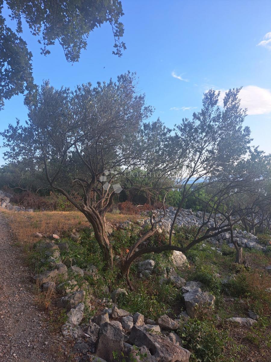 Kmetijsko zemljišče Punat, 810m2