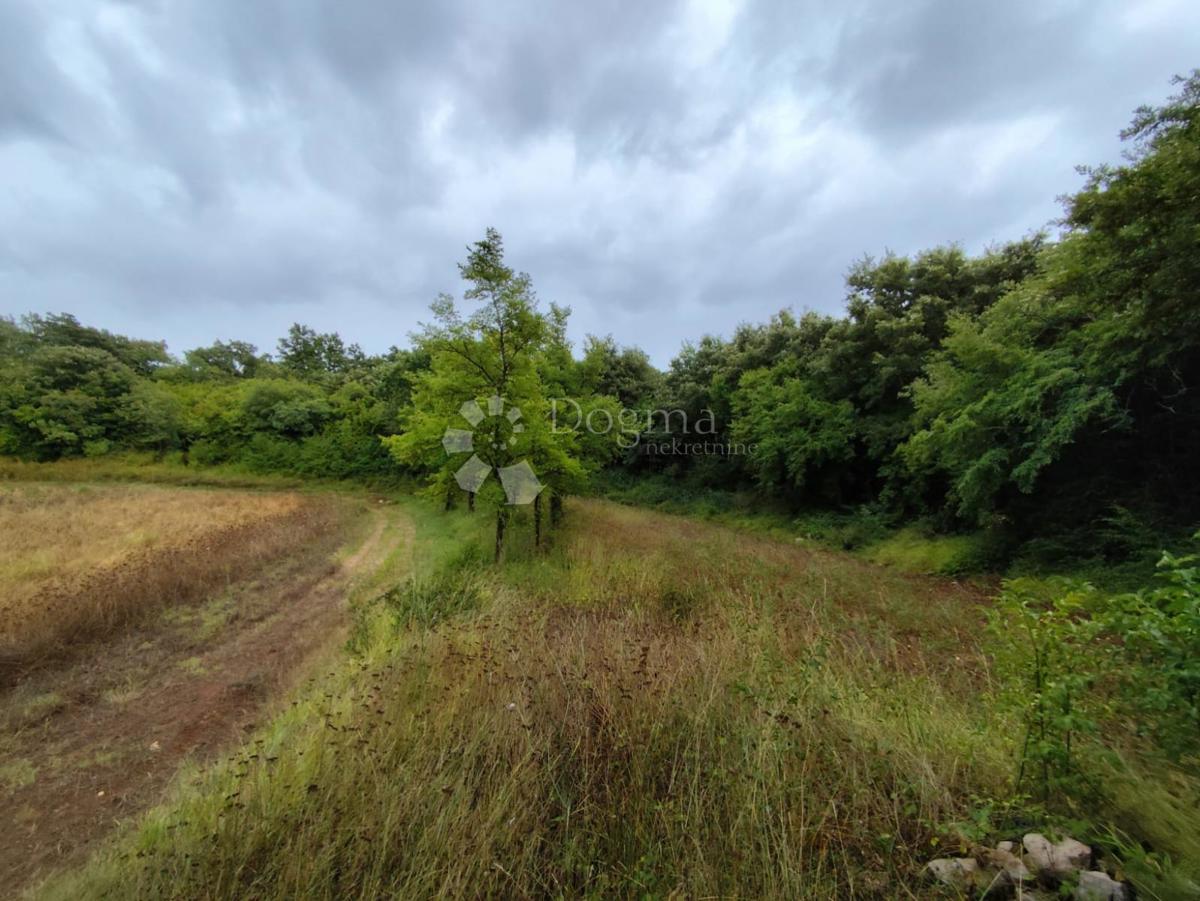 Kmetijsko zemljišče Barbariga, Vodnjan, 8.095m2