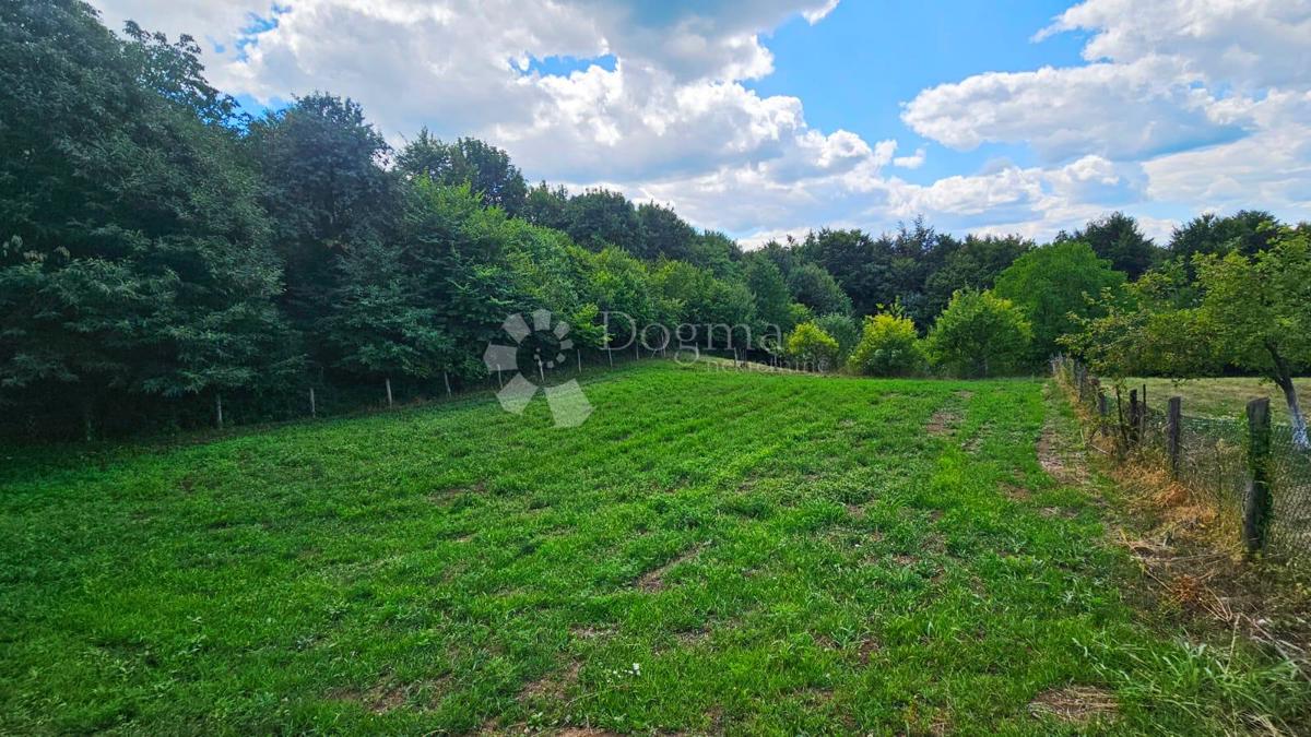 Kmetijsko zemljišče Kladeščica, Sveti Ivan Zelina, 3.417m2