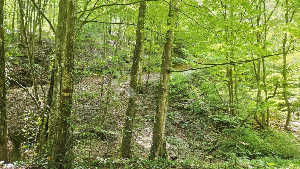 Kmetijsko zemljišče Kladeščica, Sveti Ivan Zelina, 3.417m2