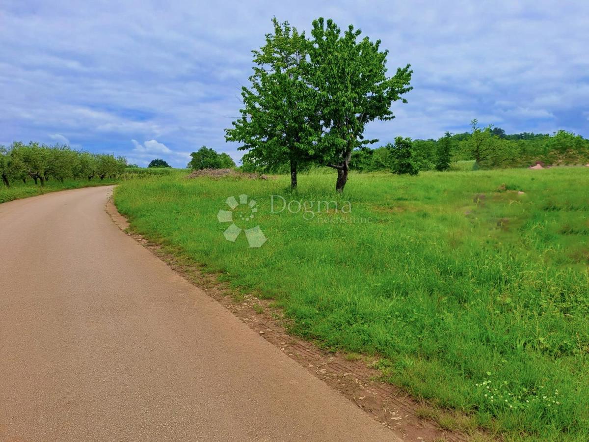 Kmetijsko zemljišče Rafaeli, Višnjan, 7.009m2