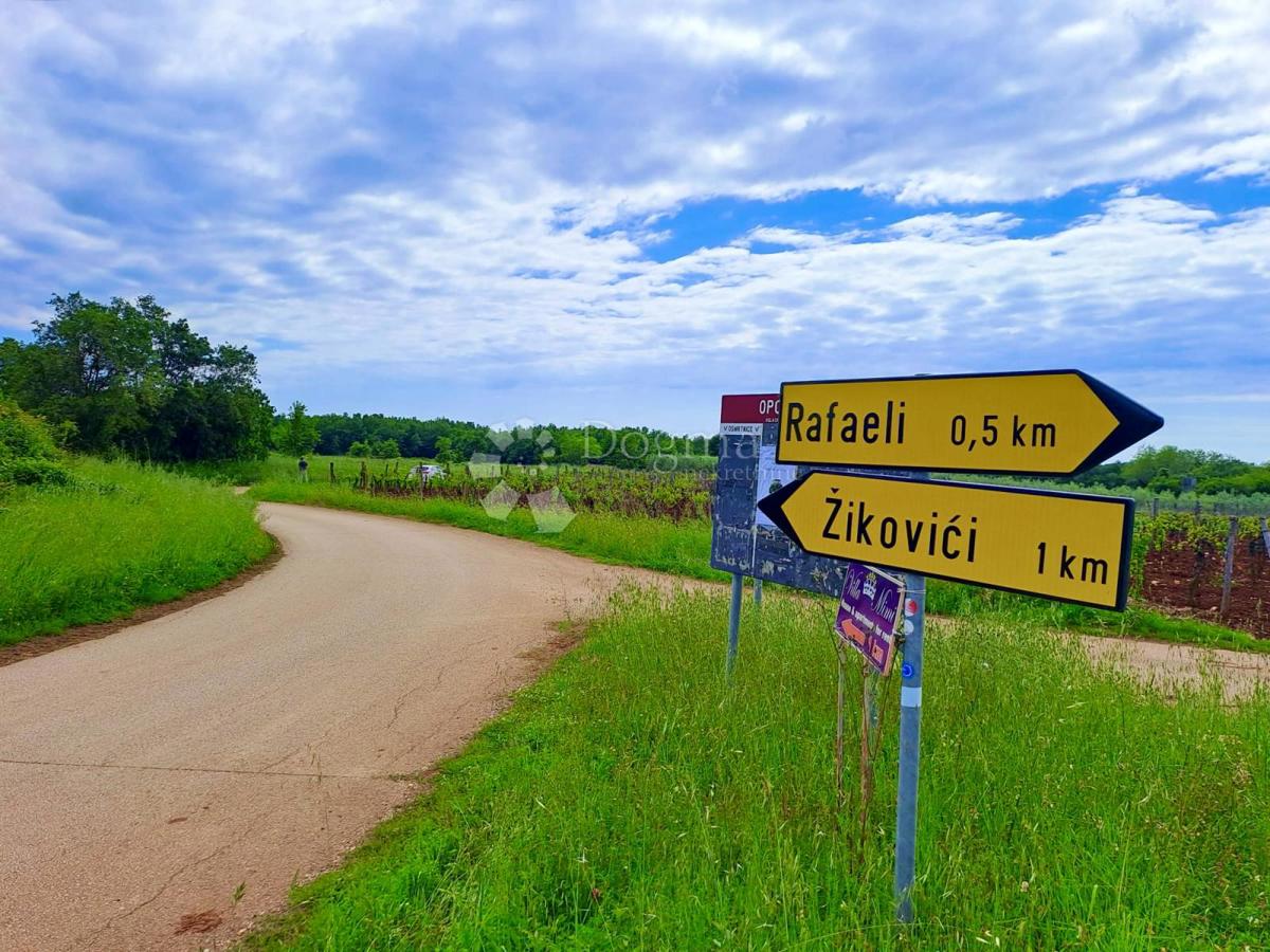 Kmetijsko zemljišče Rafaeli, Višnjan, 7.009m2