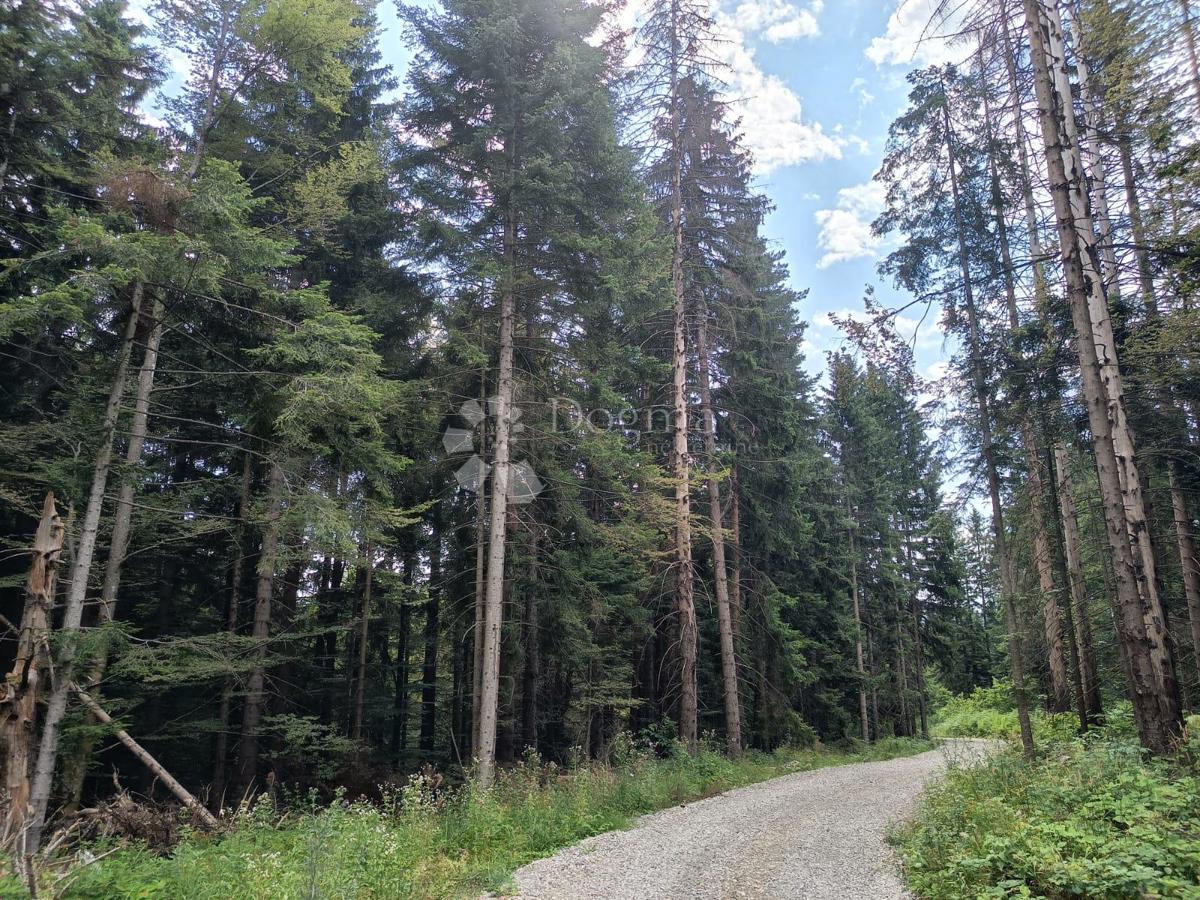 Kmetijsko zemljišče Saborsko, 86.421m2