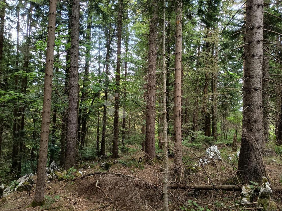 Kmetijsko zemljišče Saborsko, 86.421m2