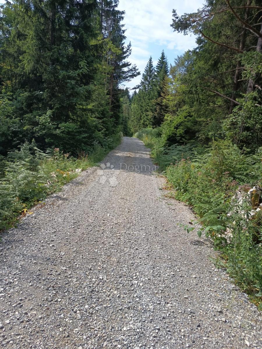Kmetijsko zemljišče Saborsko, 86.421m2
