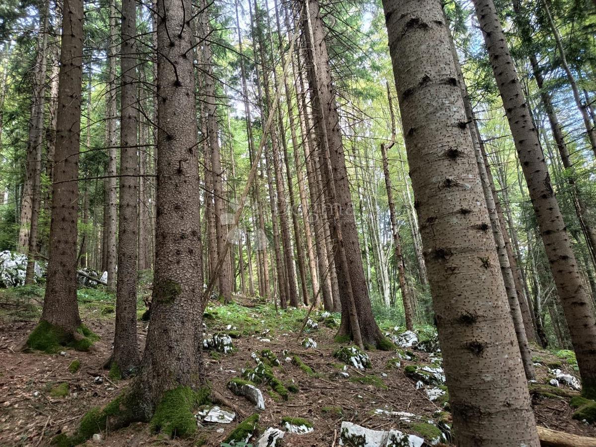 Kmetijsko zemljišče Saborsko, 86.421m2