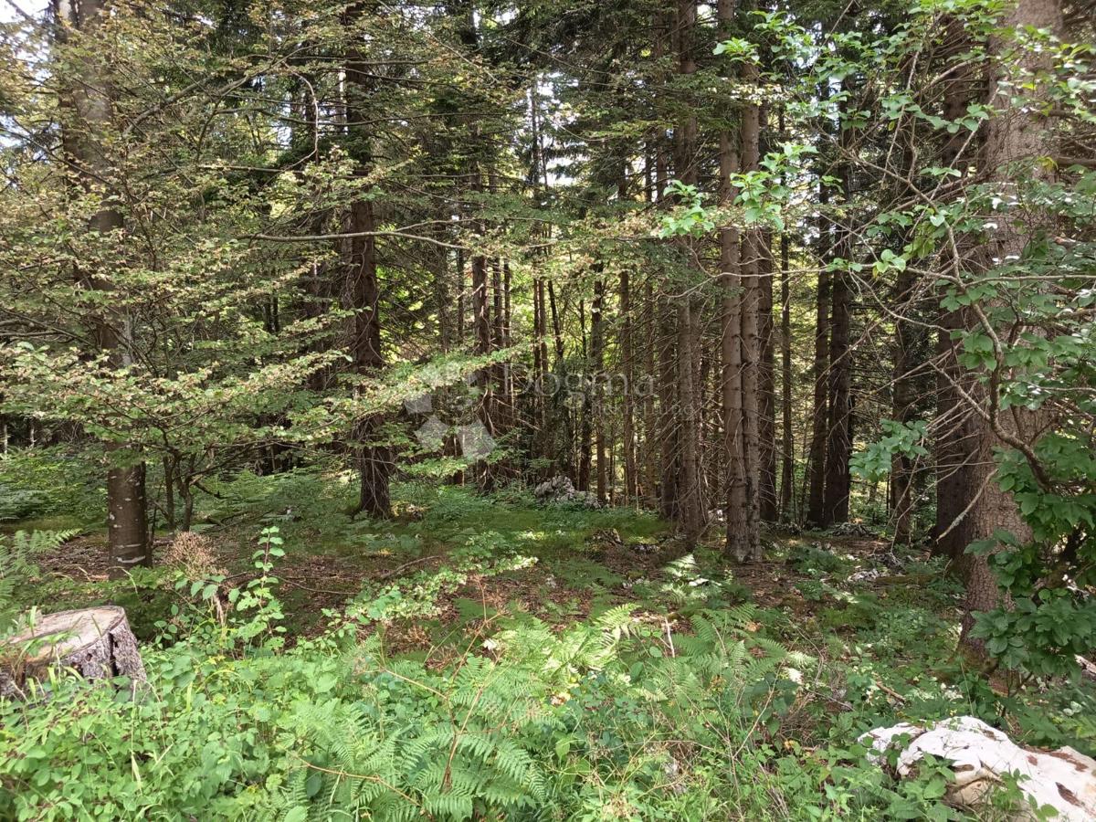 Kmetijsko zemljišče Saborsko, 86.421m2