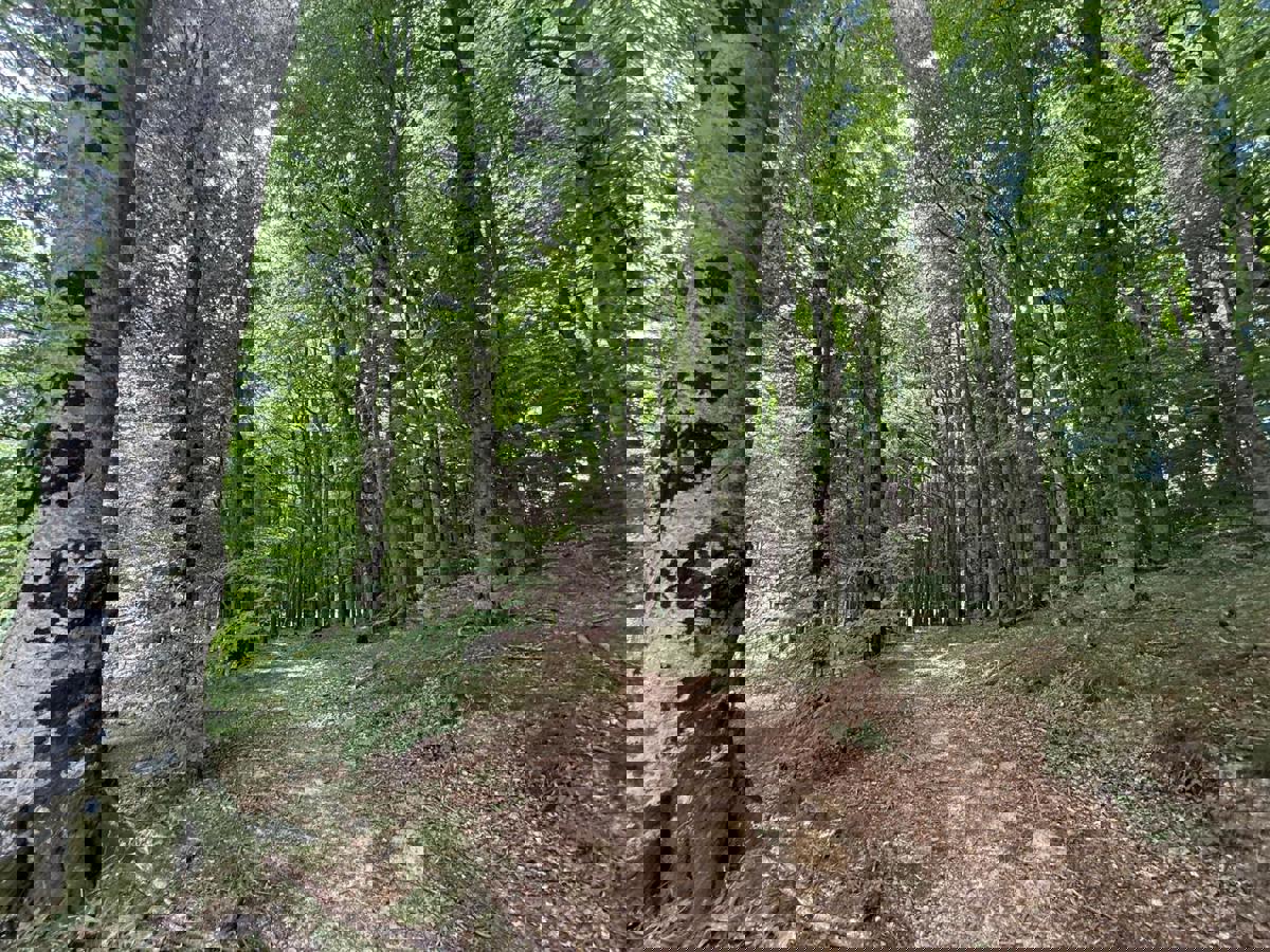 Kmetijsko zemljišče Široka Kula, Gospić - Okolica, 11.000m2