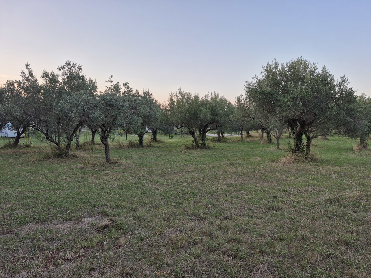 Kmetijsko zemljišče Mali Vareški, Marčana, 4.503m2