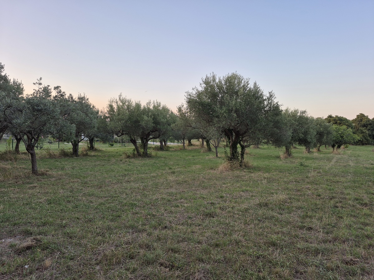 Kmetijsko zemljišče Mali Vareški, Marčana, 4.503m2