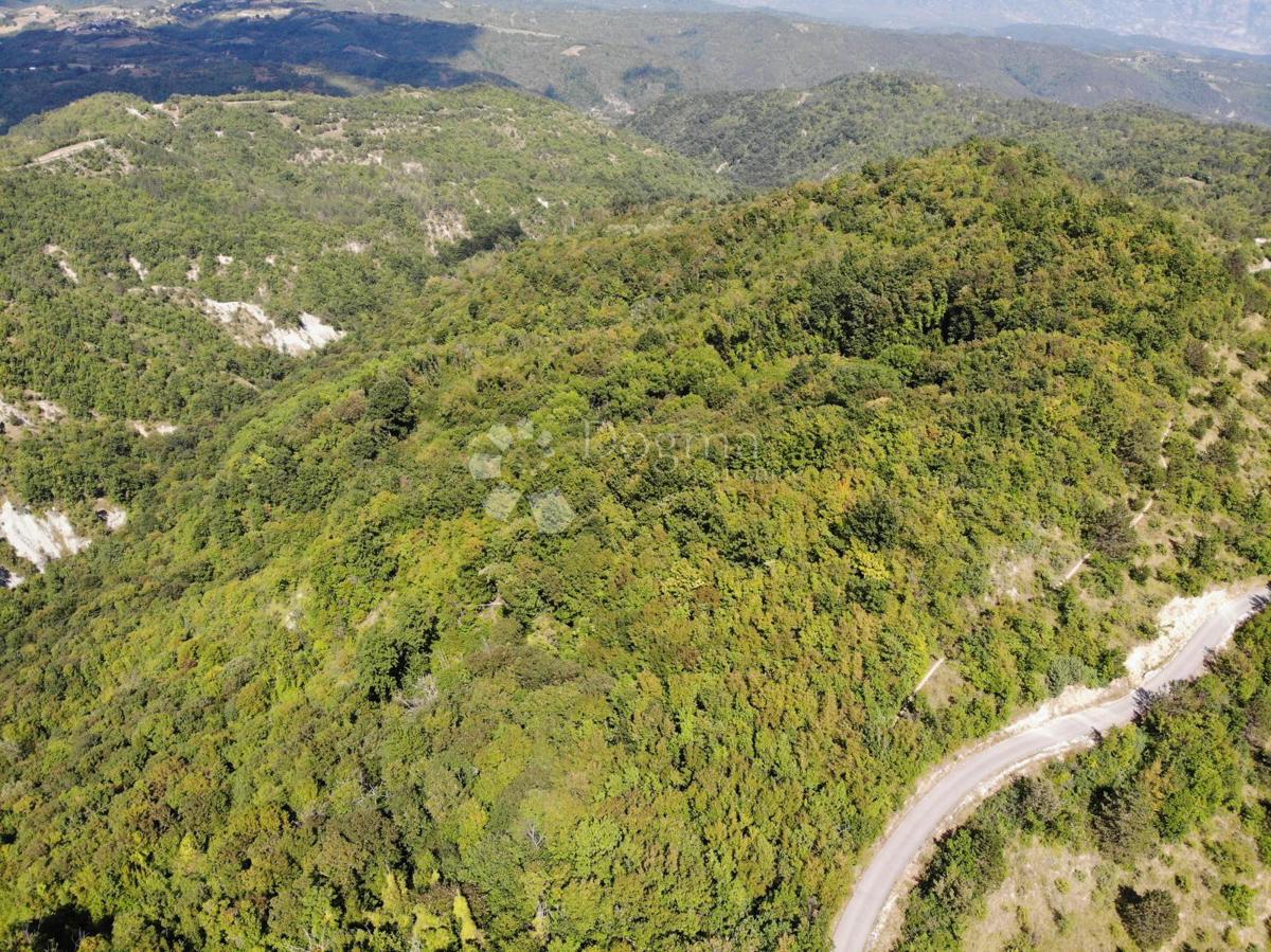 Kmetijsko zemljišče Gračišće, 6.694m2