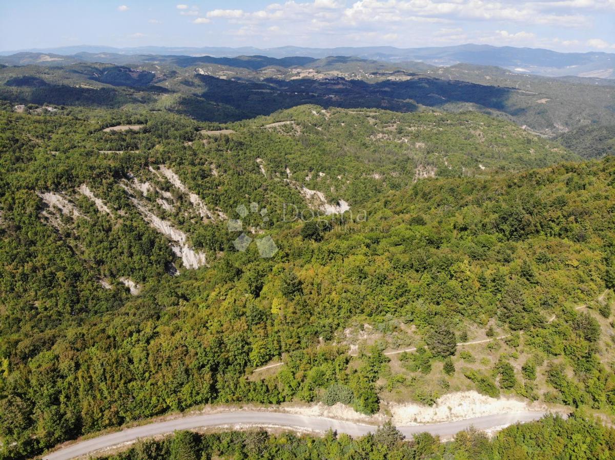 Kmetijsko zemljišče Gračišće, 6.694m2