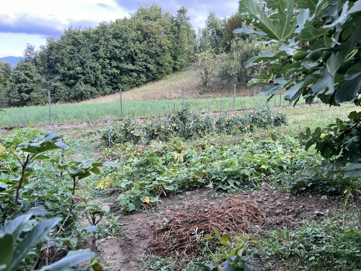 Zazidljivo zemljišče Hruševec Kupljenski, Zaprešić - Okolica, 28.913m2