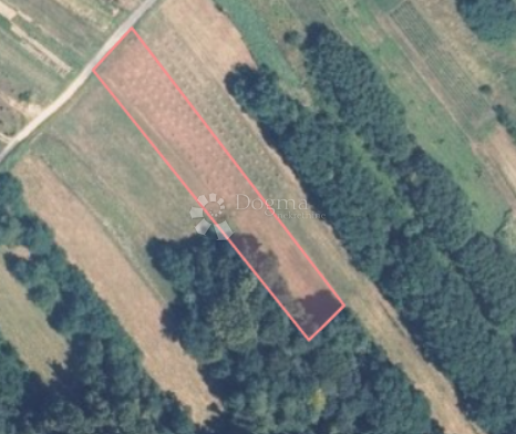 Kmetijsko zemljišče Ključ, Novi Marof, 9.534m2