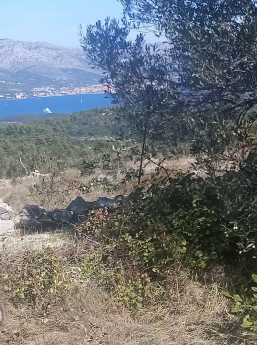 Kmetijsko zemljišče Žrnovo, Korčula, 2.190m2