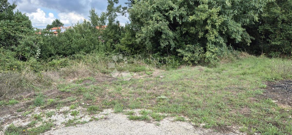 Zazidljivo zemljišče Marčana, 228m2