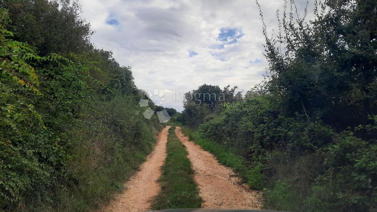 Kmetijsko zemljišče Jadreški, Ližnjan, 500m2