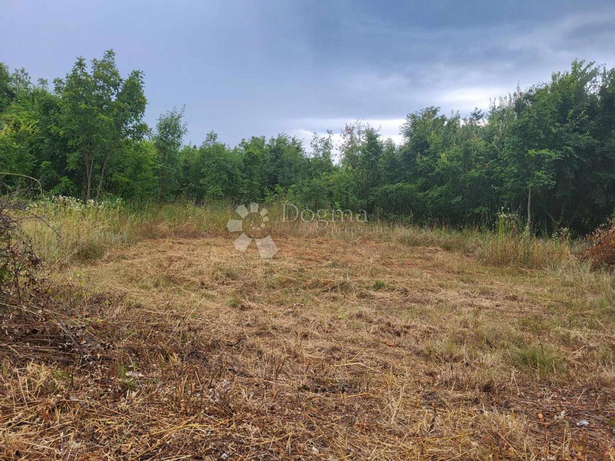 Zemljišče Svetvinčenat, 1.829m2