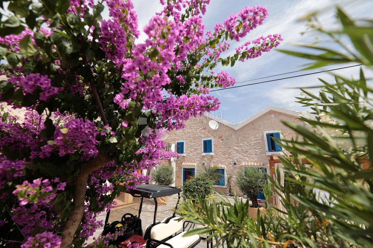 Hiša Molat, Zadar - Okolica, 280m2