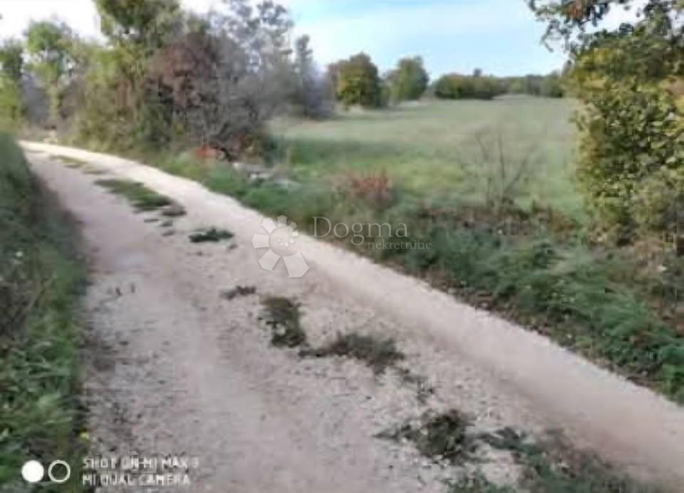 Kmetijsko zemljišče Bartići, Labin, 6.651m2