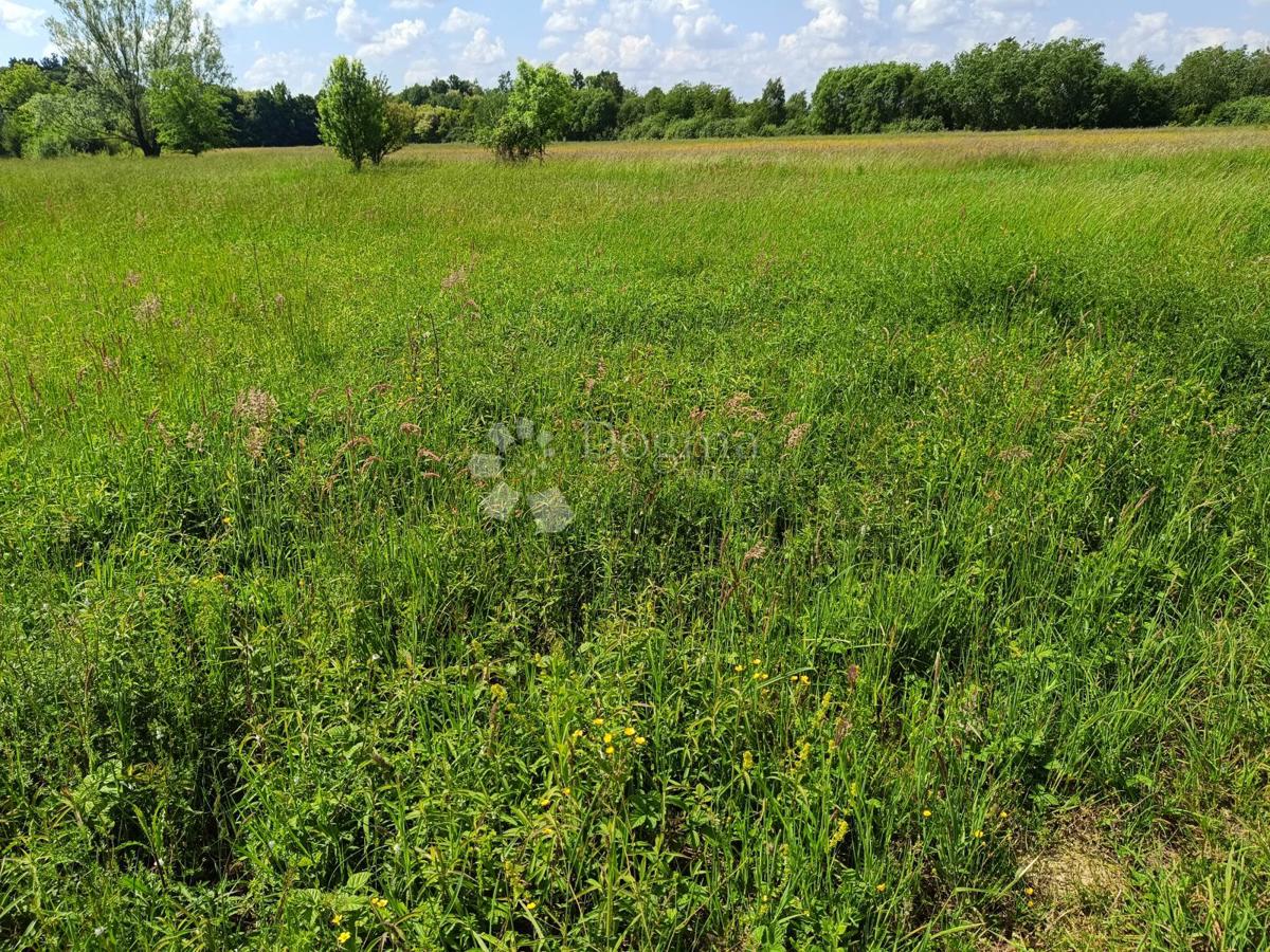 Zazidljivo zemljišče Novaki Motovunski, Karojba, 1.865m2