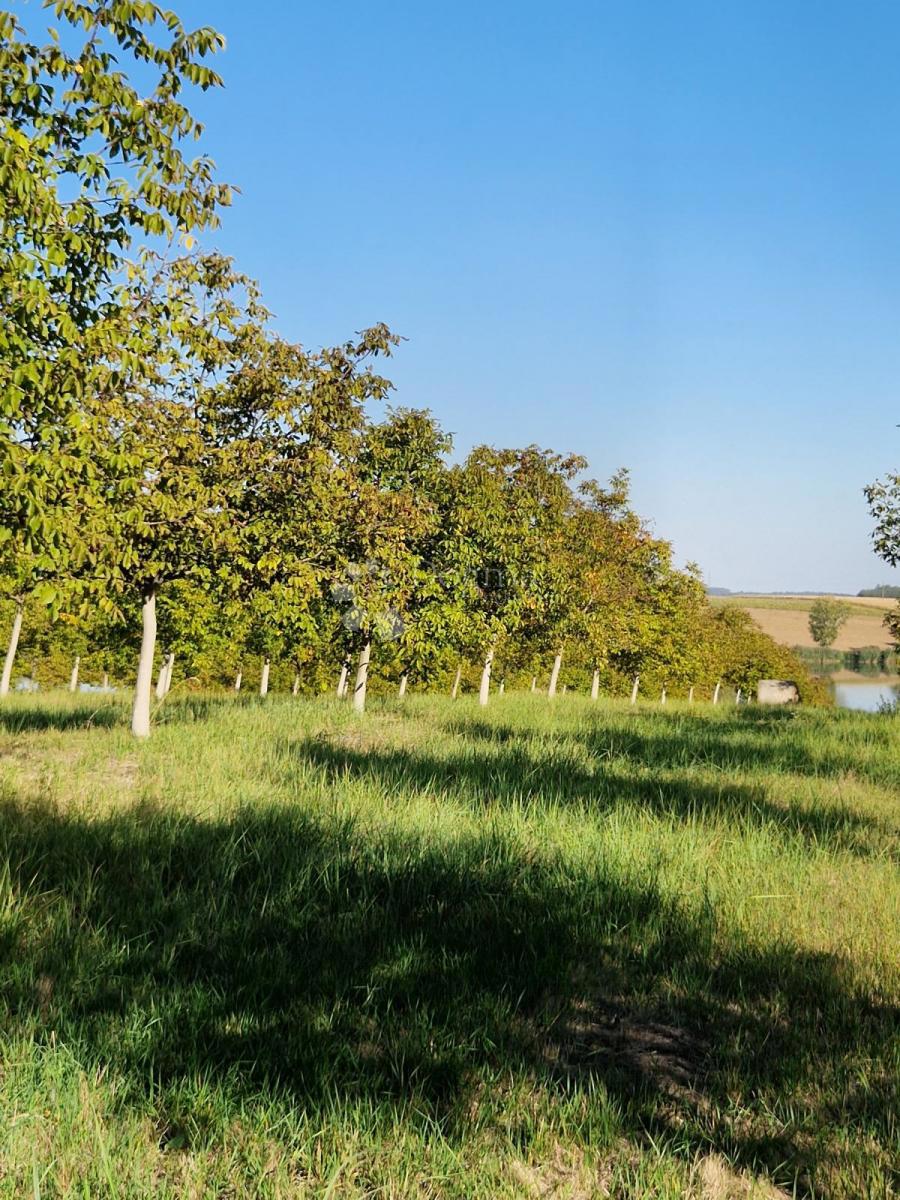 Kmetijsko zemljišče Đakovo, 40.557m2