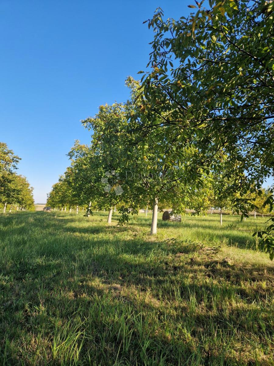 Kmetijsko zemljišče Đakovo, 40.557m2