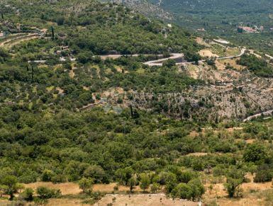 Kmetijsko zemljišče Trnova, Dubrovačko Primorje, 2.295m2