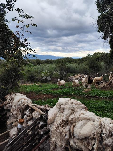 Zazidljivo zemljišče Vrh, Krk, 4.778m2