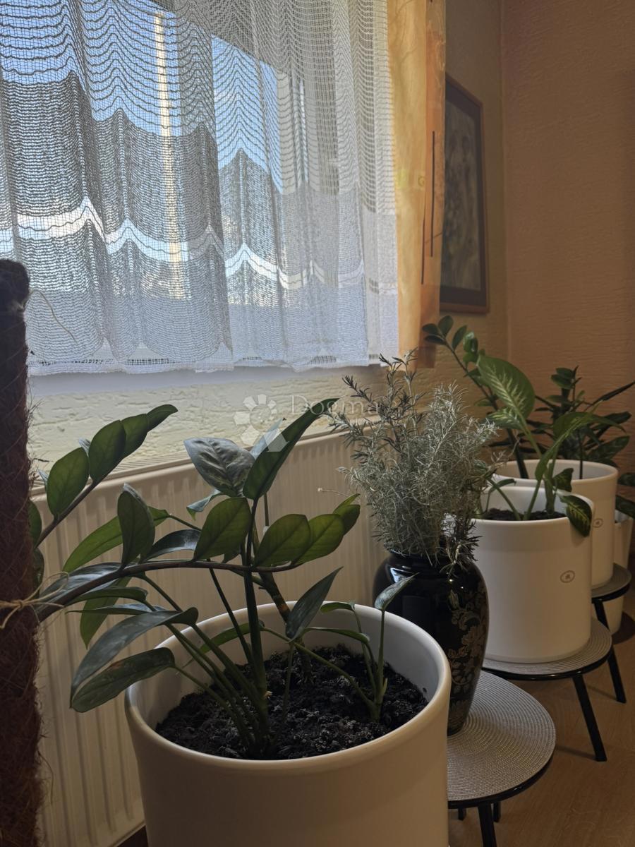 Hiša Kunovec Breg, Koprivnica - Okolica, 500m2