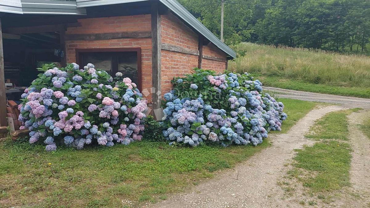 Hiša Starigrad, Koprivnica - Okolica, 139,34m2