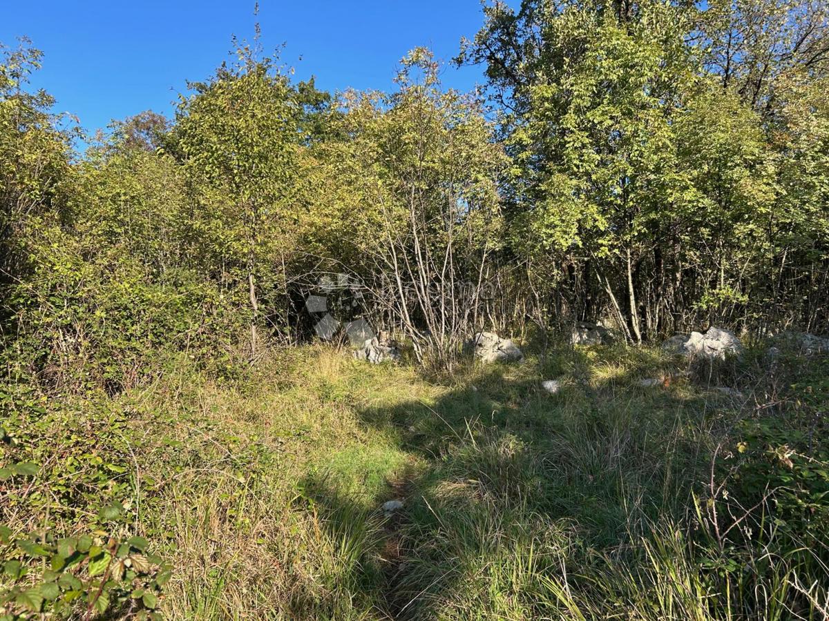 Zazidljivo zemljišče Brnčići, Kastav, 601m2