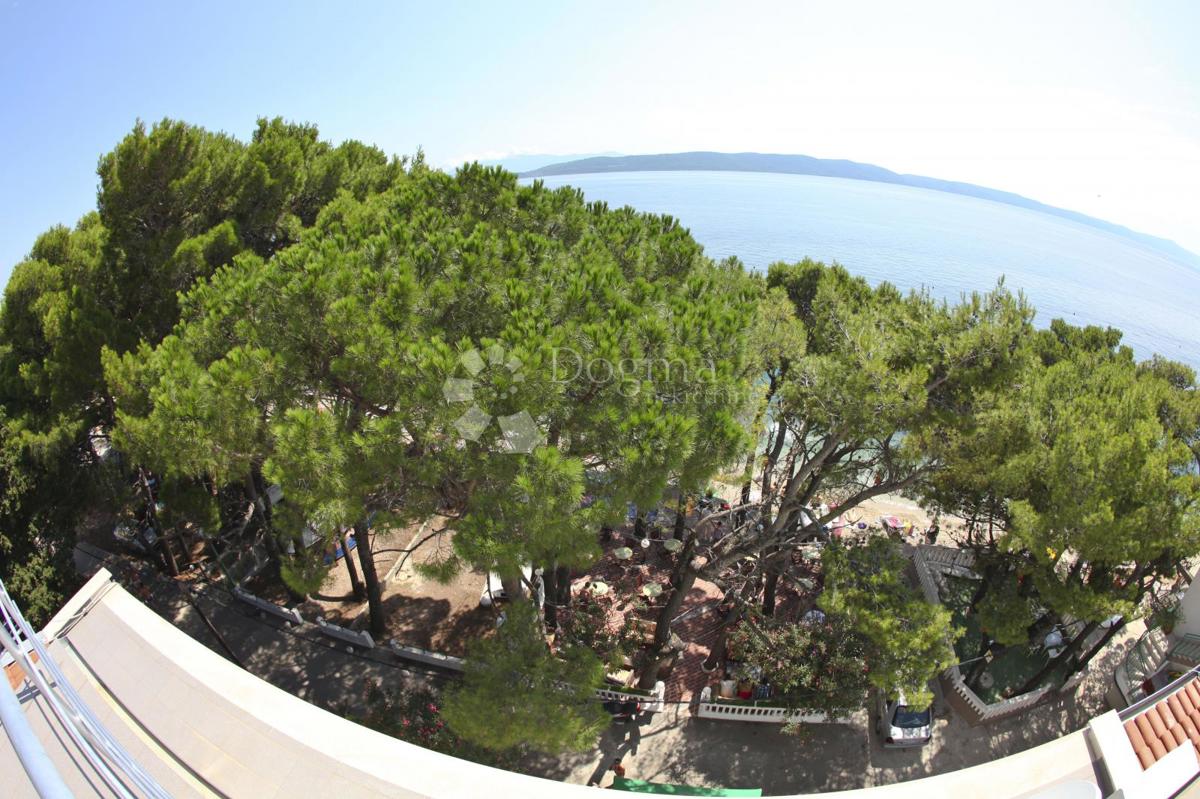 Hotel Živogošće, Podgora, 533m2