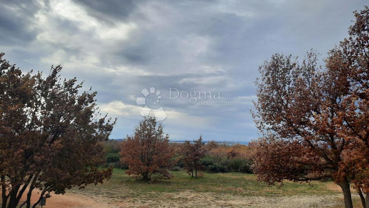 Kmetijsko zemljišče Vodnjan, 18.600m2