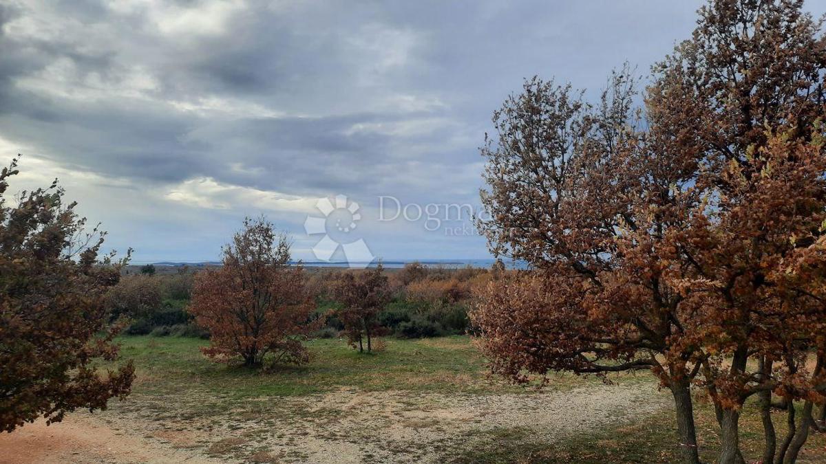 Kmetijsko zemljišče Vodnjan, 18.600m2