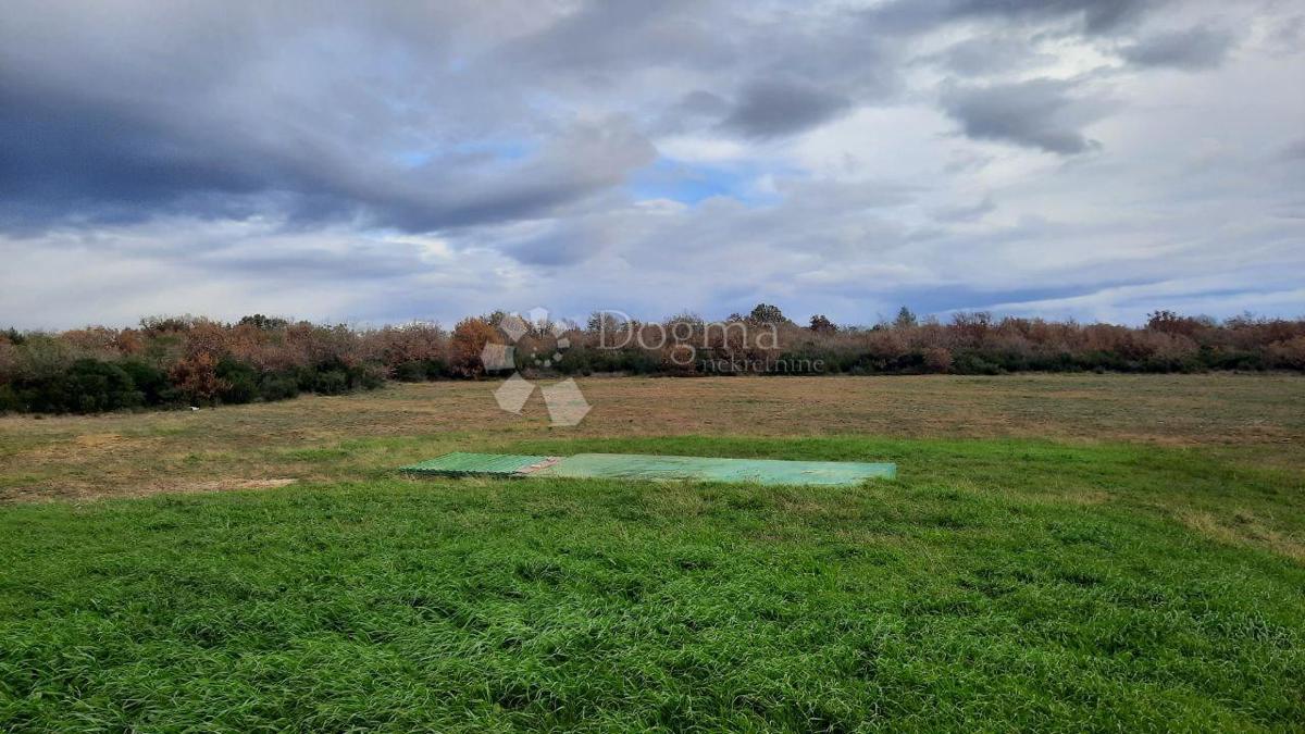 Kmetijsko zemljišče Vodnjan, 18.600m2