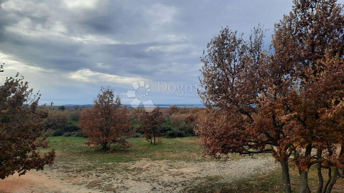 Kmetijsko zemljišče Vodnjan, 18.600m2