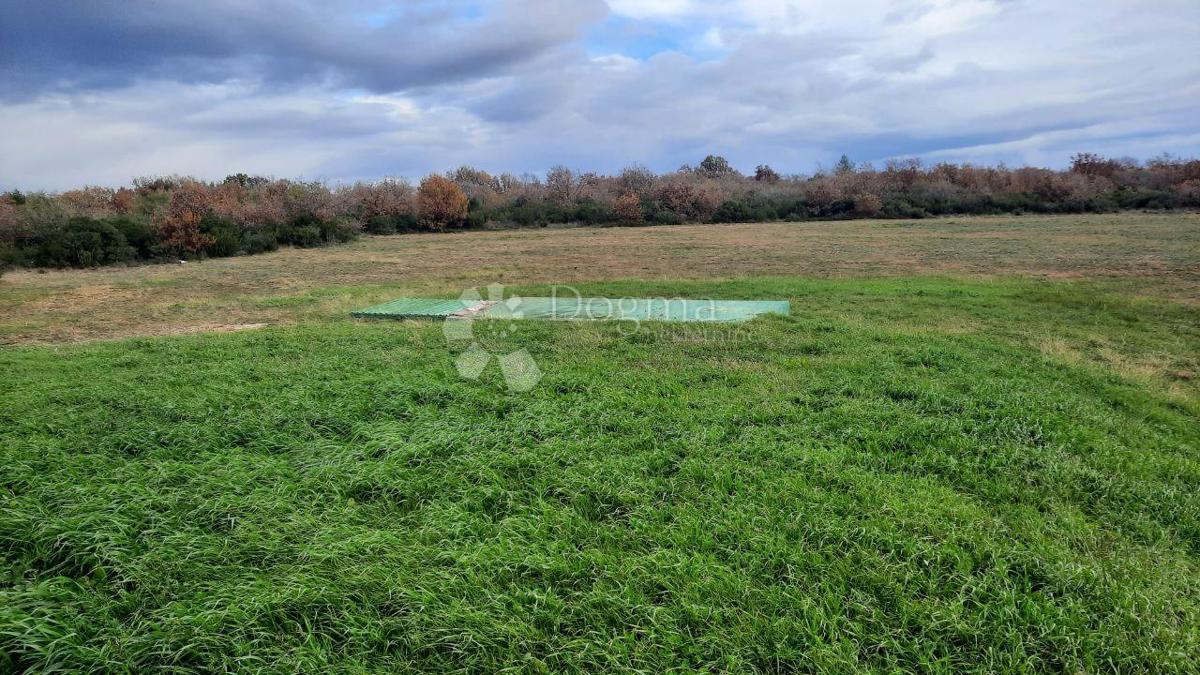 Kmetijsko zemljišče Vodnjan, 18.600m2