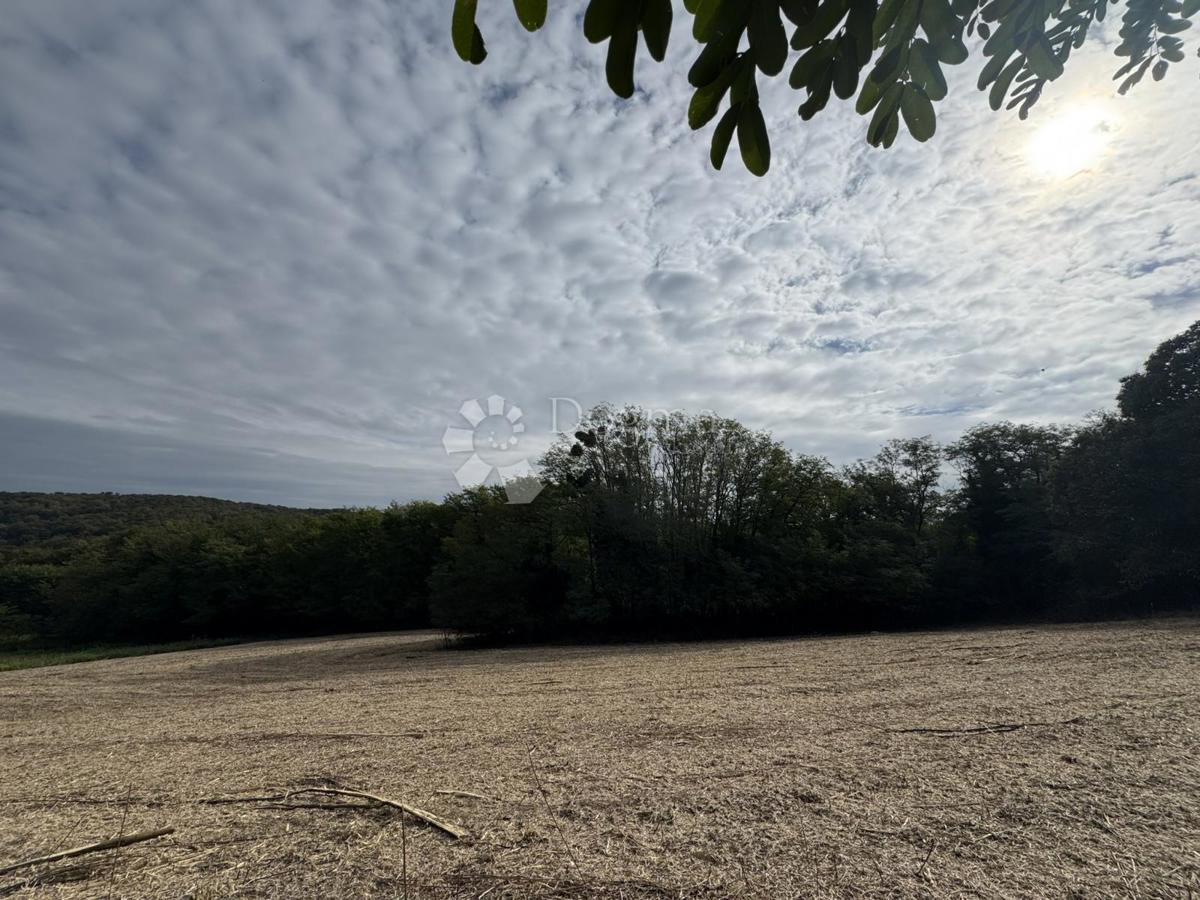 Zazidljivo zemljišče Maglenča, Veliko Trojstvo, 2.683m2