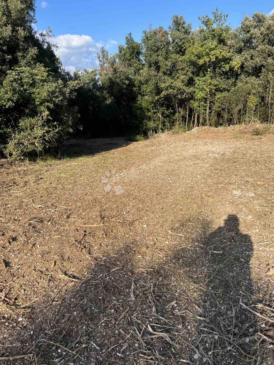 Kmetijsko zemljišče Peruški, Marčana, 2.000m2