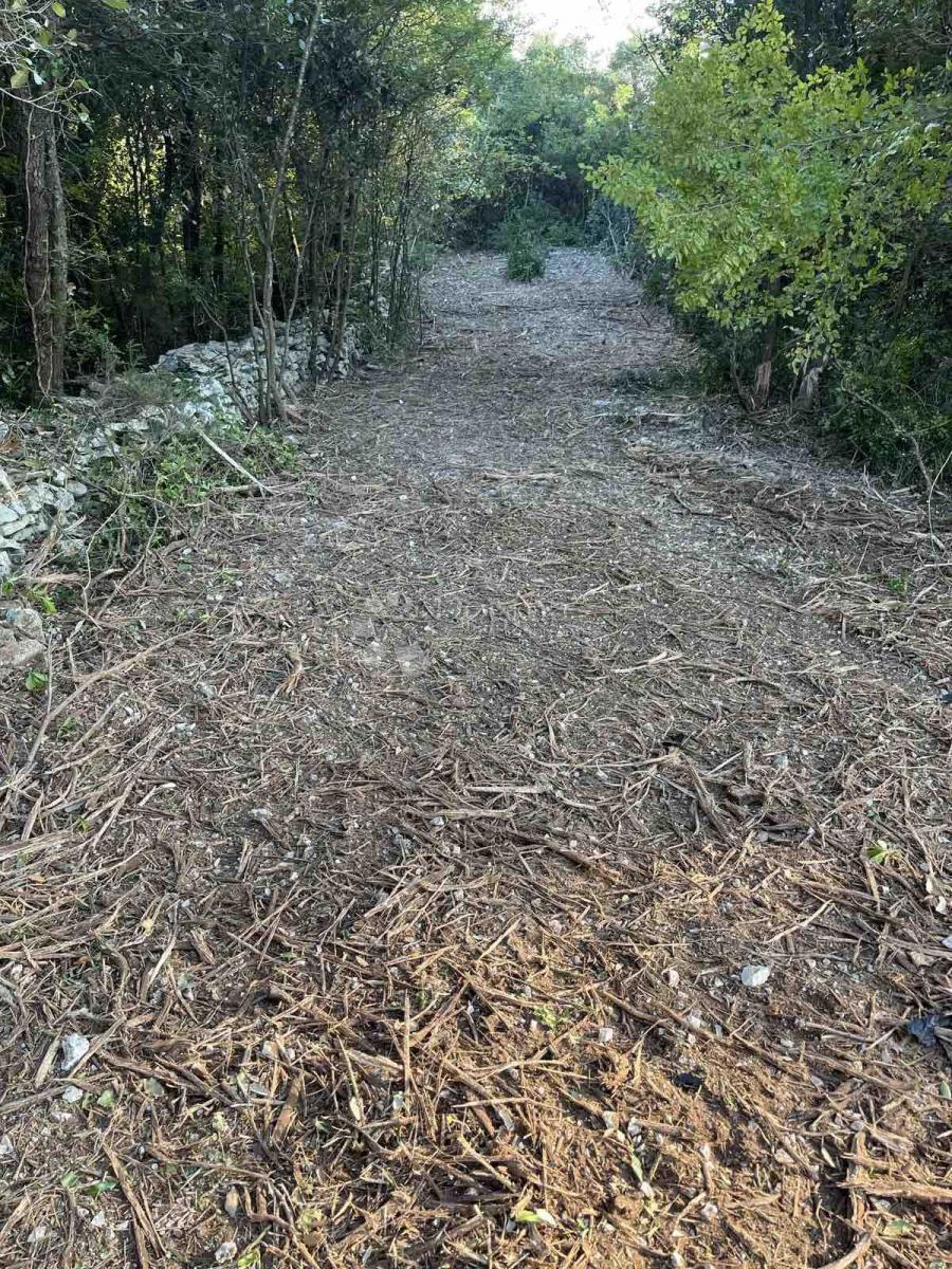 Kmetijsko zemljišče Peruški, Marčana, 2.000m2