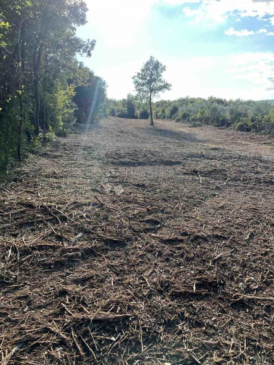 Kmetijsko zemljišče Peruški, Marčana, 2.000m2
