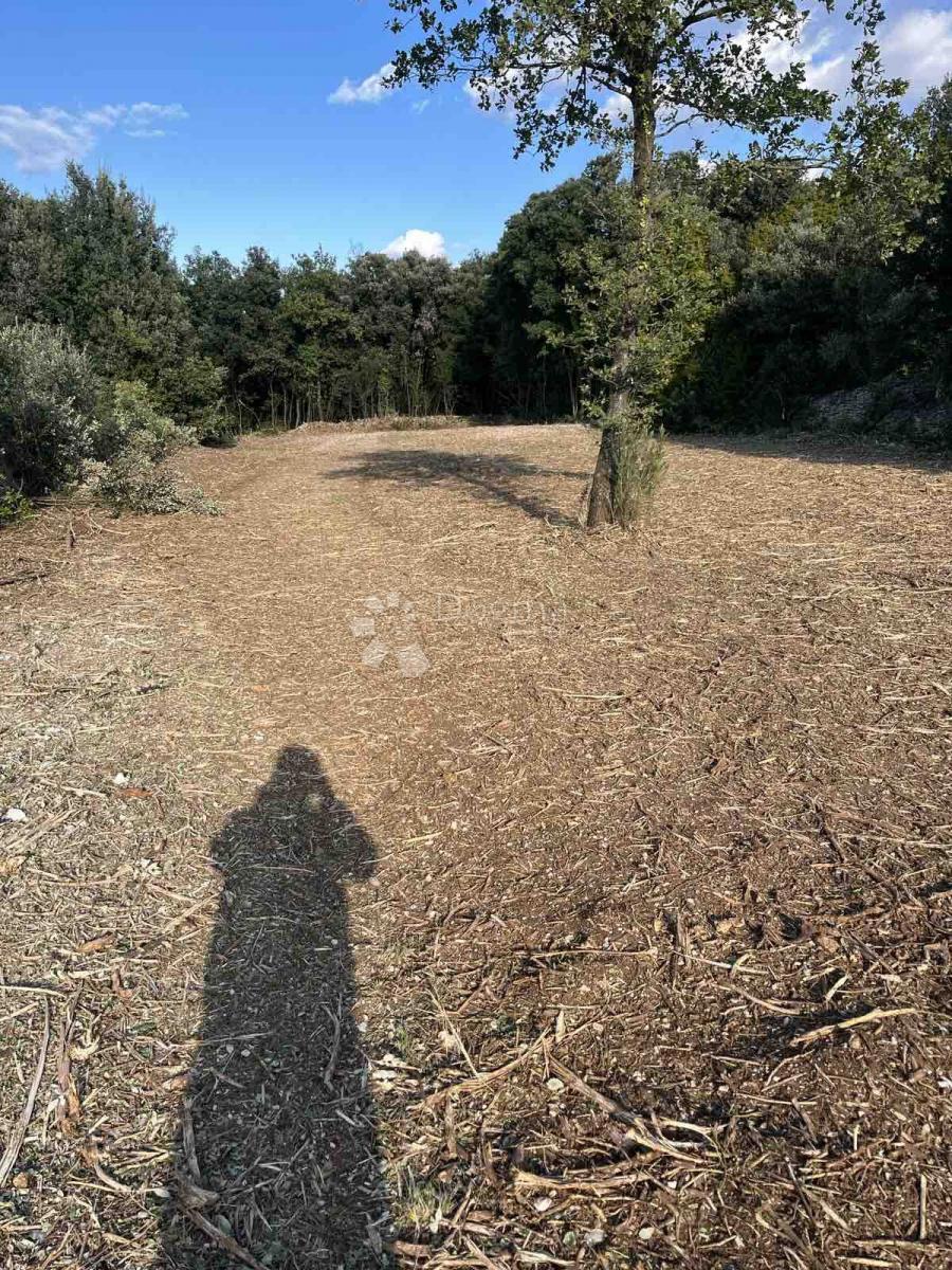 Kmetijsko zemljišče Peruški, Marčana, 2.000m2