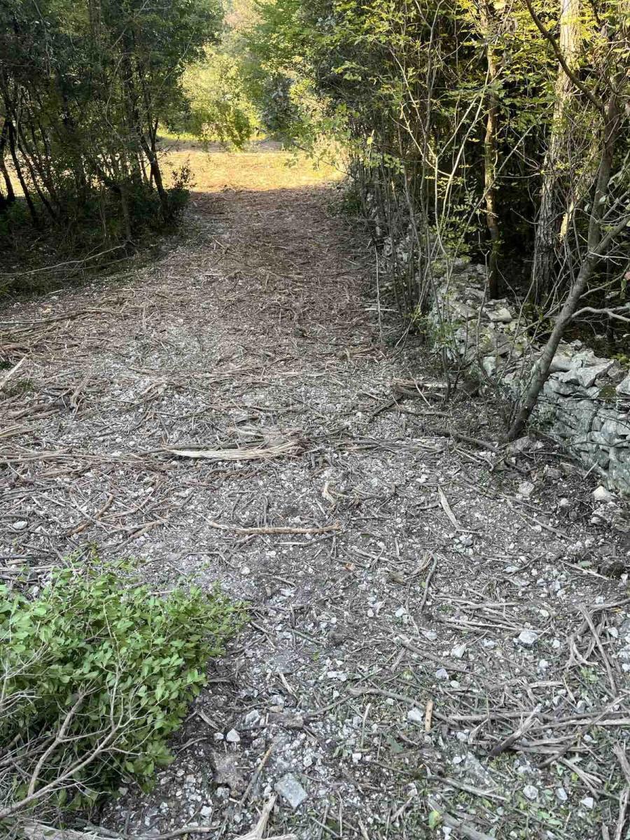 Kmetijsko zemljišče Peruški, Marčana, 2.000m2