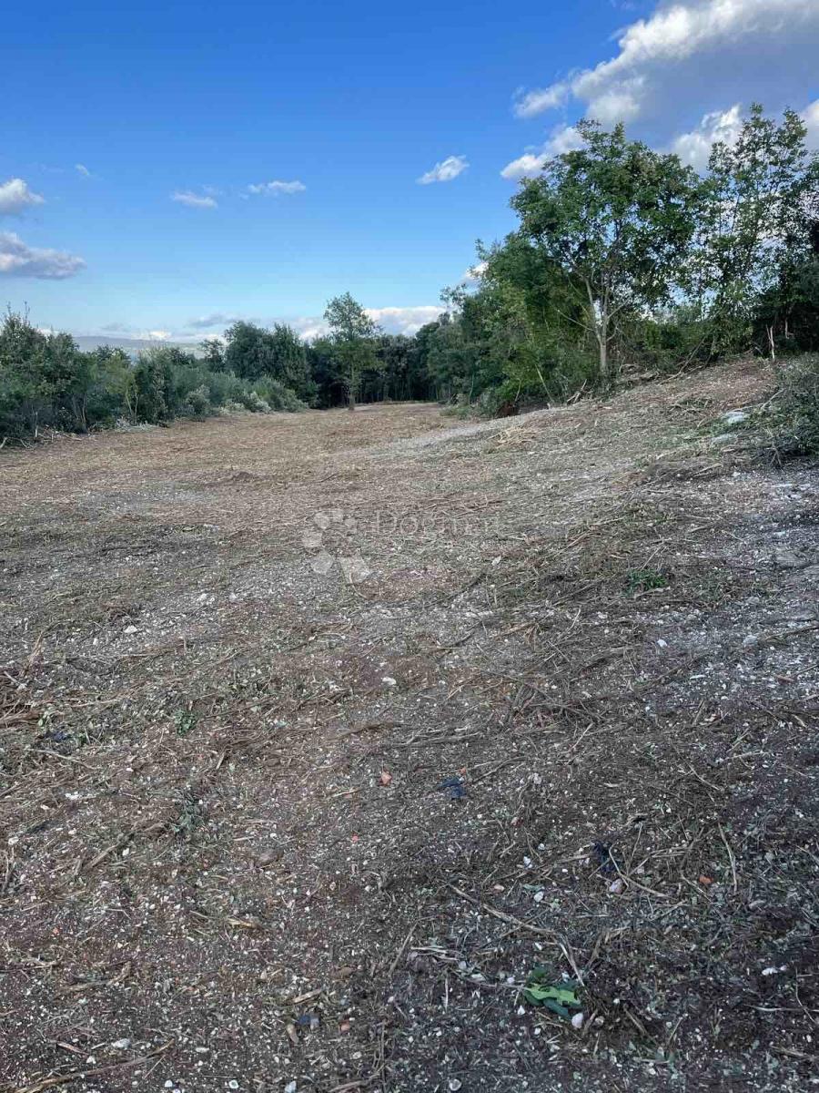 Kmetijsko zemljišče Peruški, Marčana, 2.000m2