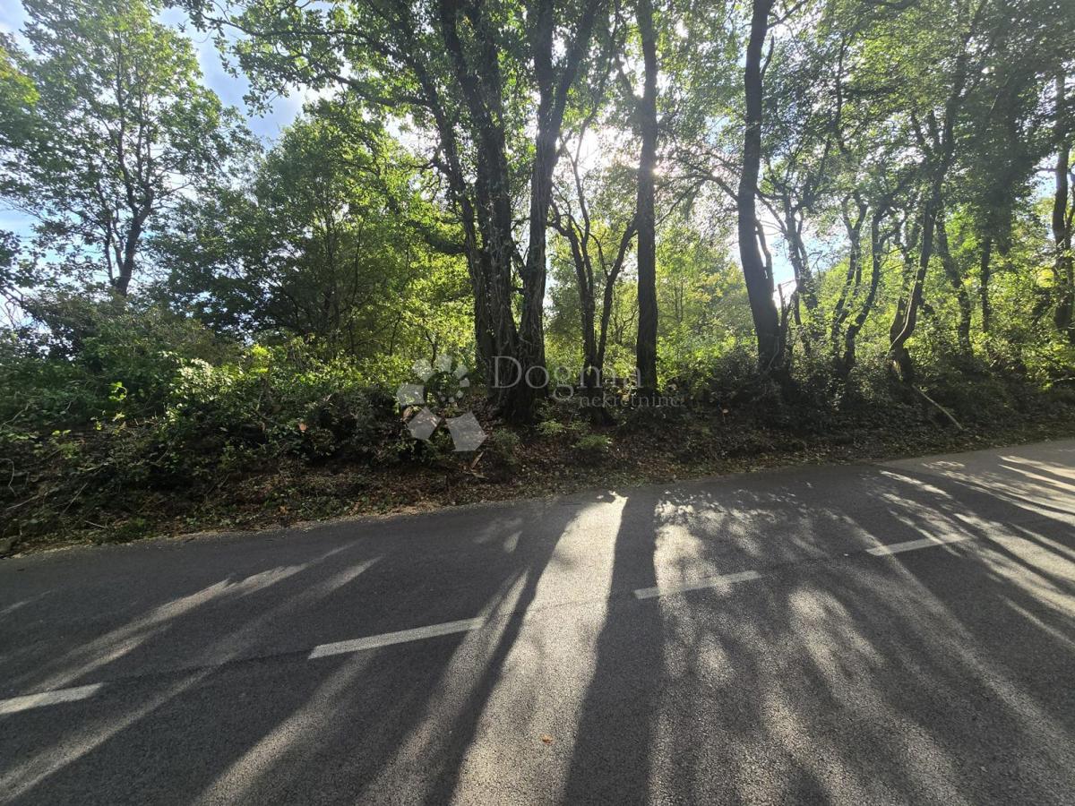 Prostorna kmetijska zemljišča