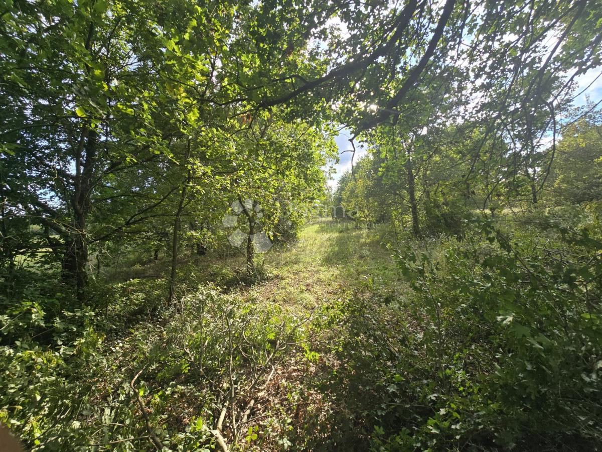 Prostorna kmetijska zemljišča