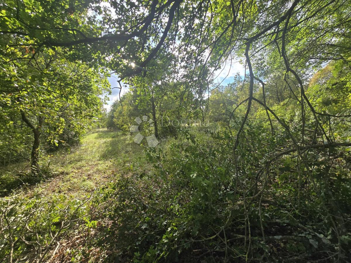 Prostorna kmetijska zemljišča